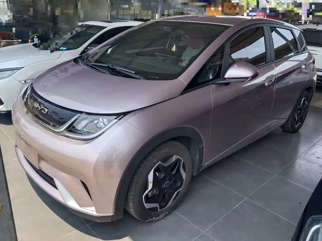 BYD Dolphin 2022