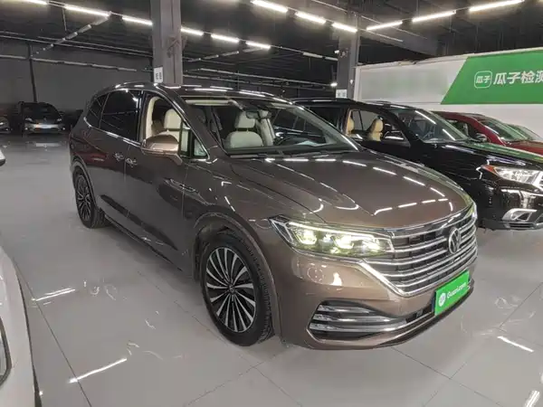 Volkswagen Viloran 2020