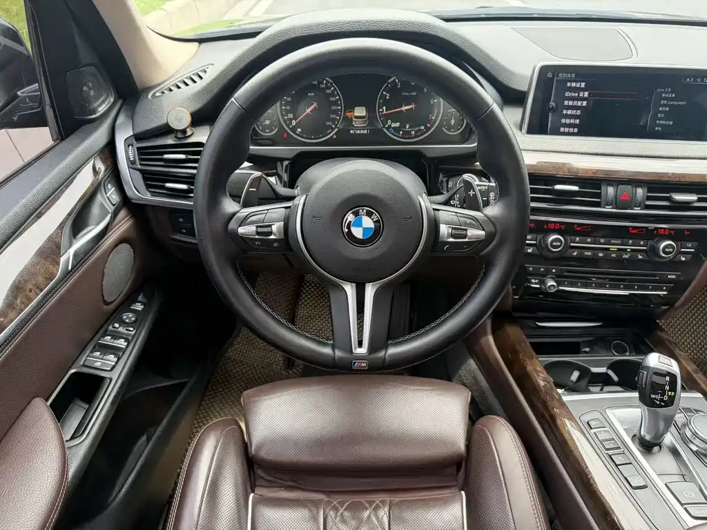 BMW X5 2017 — фото 8