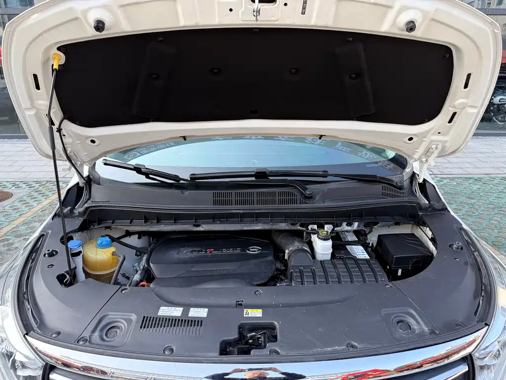 GAC Motor Trumpchi M8 2019 — фото 26