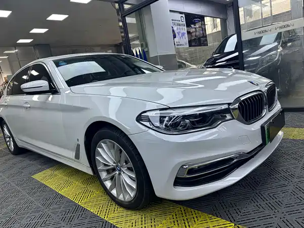 BMW 5 Series New Energy 2019