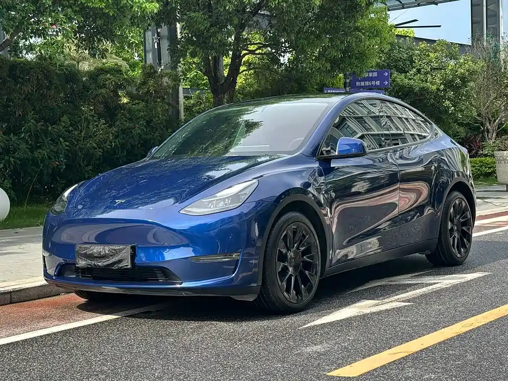 Tesla Model Y 2021 — фото 1