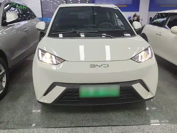 BYD Seagull 2024