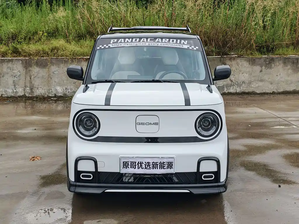Geely Galaxy Panda 2025 — фото 2