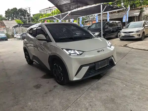 BYD Seagull 2024