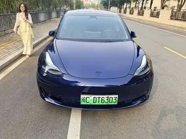 Tesla Model 3 2022