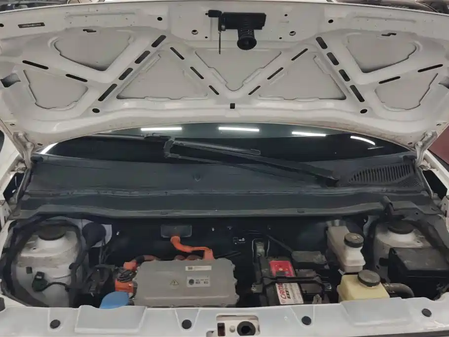 Ora Black Cat 2021 — фото 10