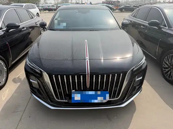 Hongqi H5 2025