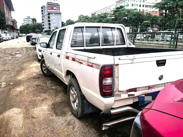 Dongfeng Ruiqi 2013
