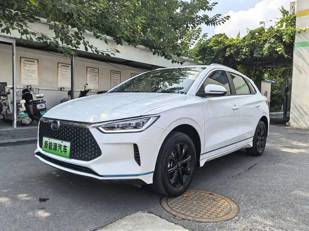 BYD e2 2021
