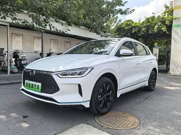BYD e2 2021