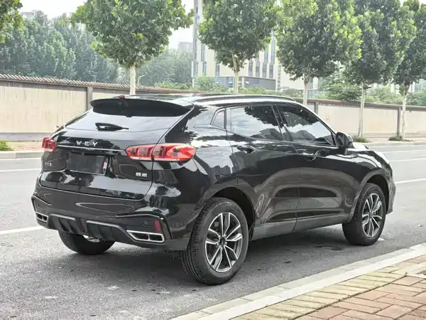 Wey VV5 2020