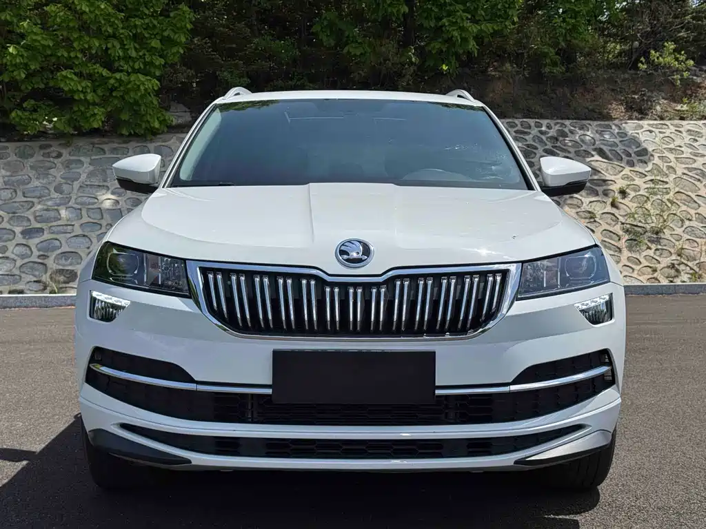 Skoda Karoq 2023 — фото 2