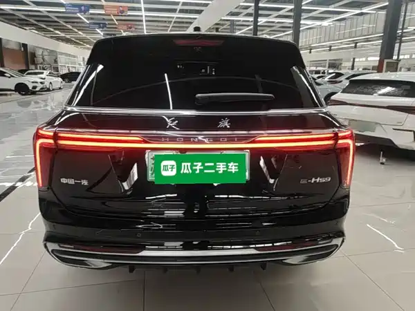 Hongqi E-HS9 2024