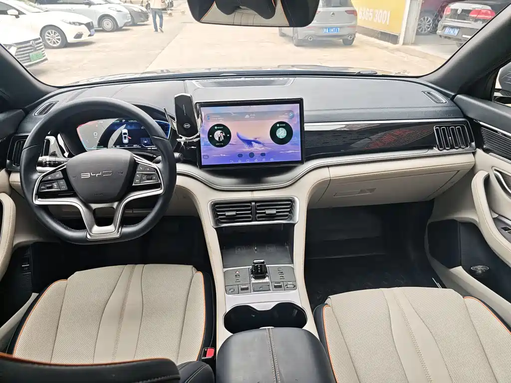 BYD PLUS New Energy 2023 — фото 14