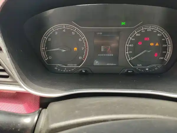 Geely Binrui 2021