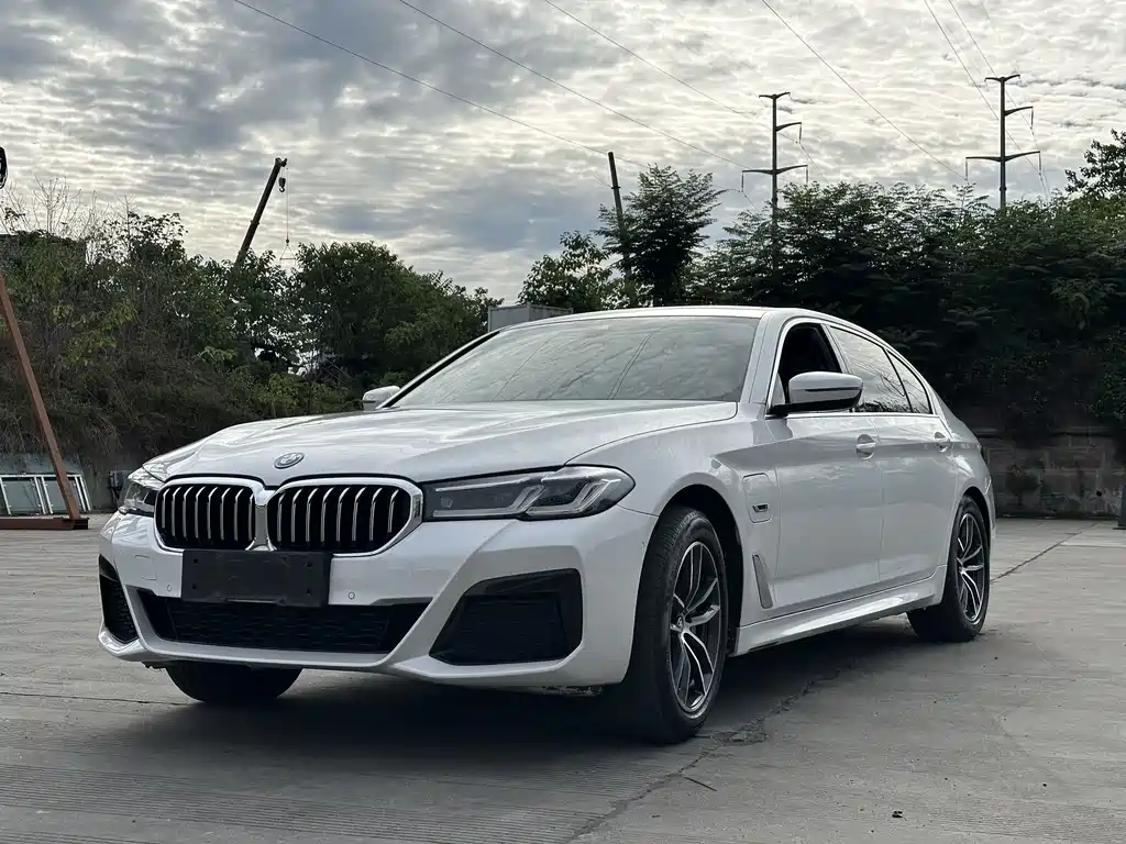 BMW 5 Series New Energy 2022