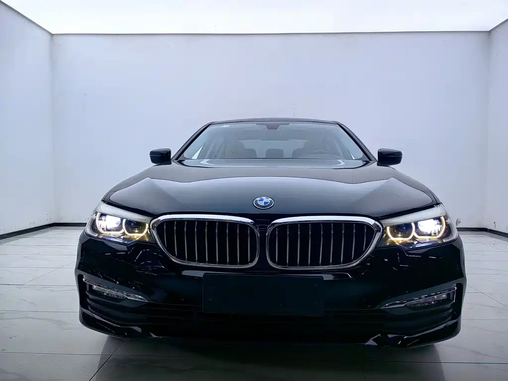 BMW 5 Series 2017 — фото 2