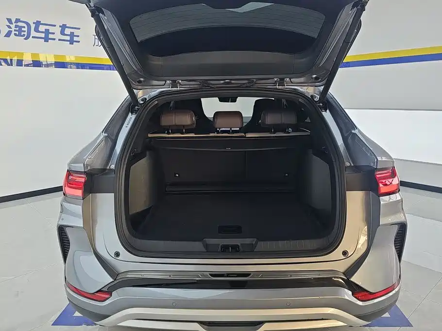 BYD Song PLUS New Energy 2025 — фото 4