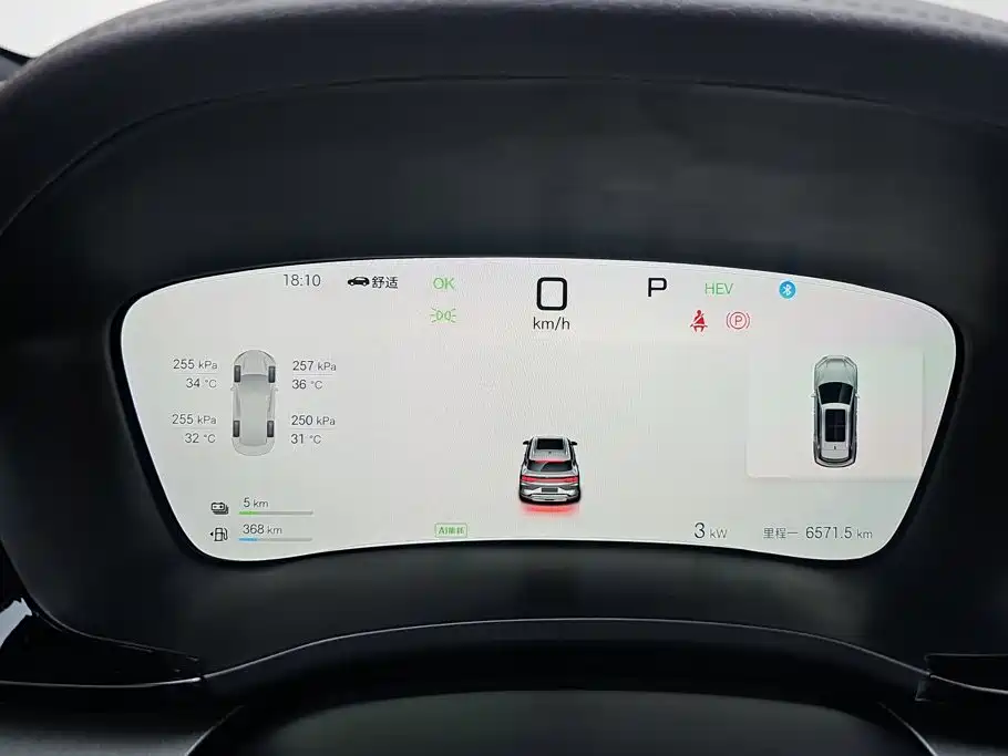 BYD Song PLUS New Energy 2025 — фото 14
