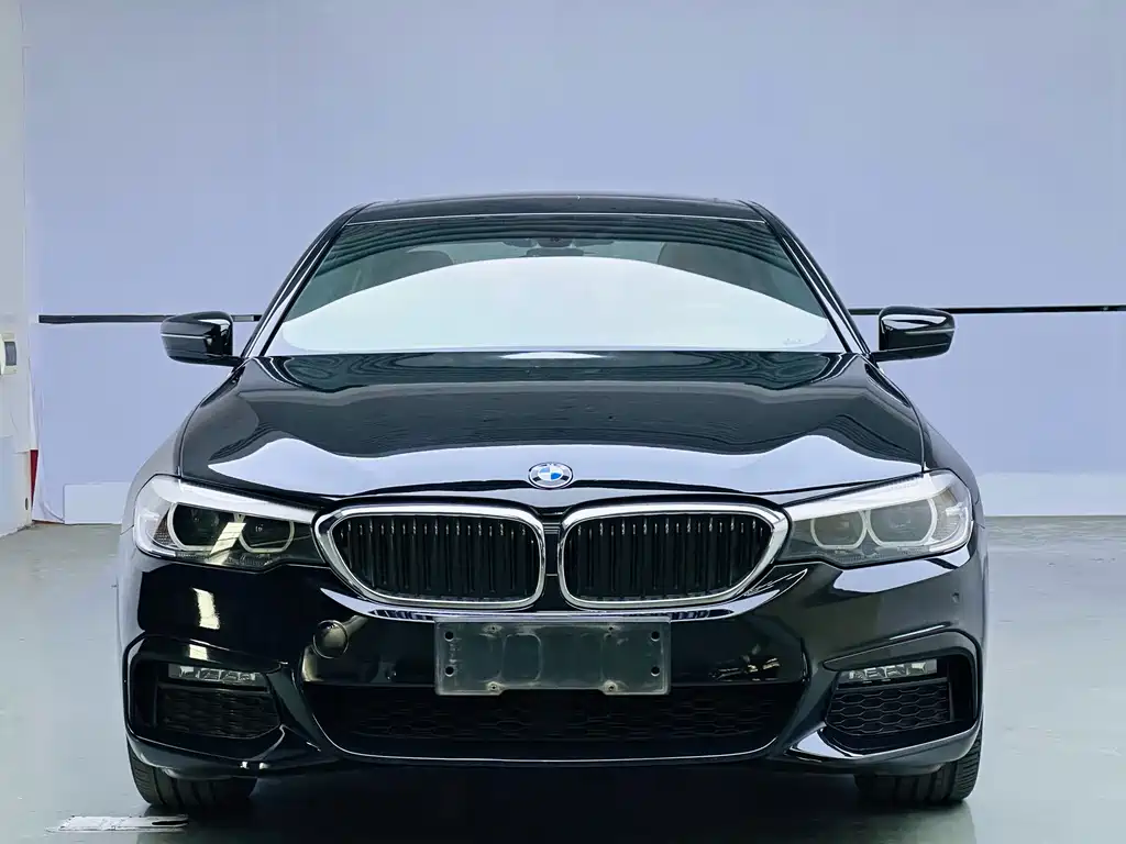 BMW 5 Series 2019