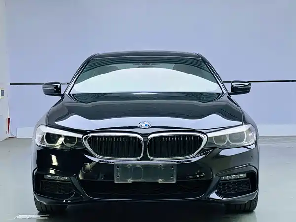 BMW 5 Series 2019