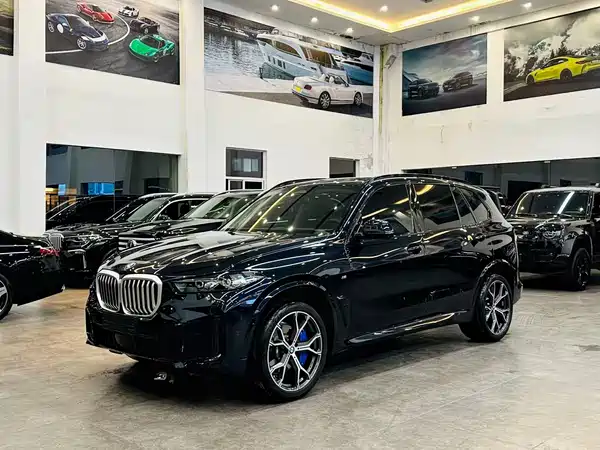 BMW X5 2025