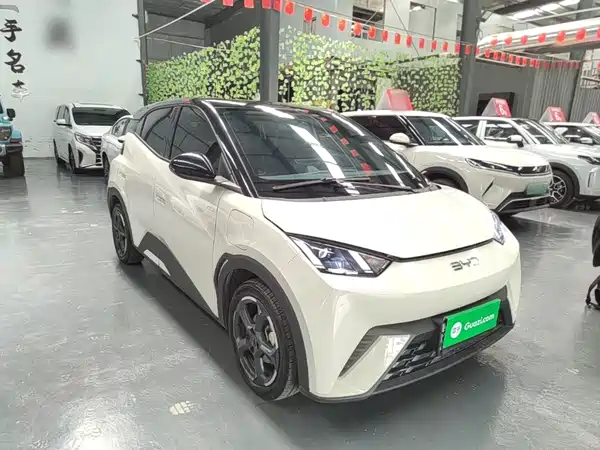 BYD Seagull 2024