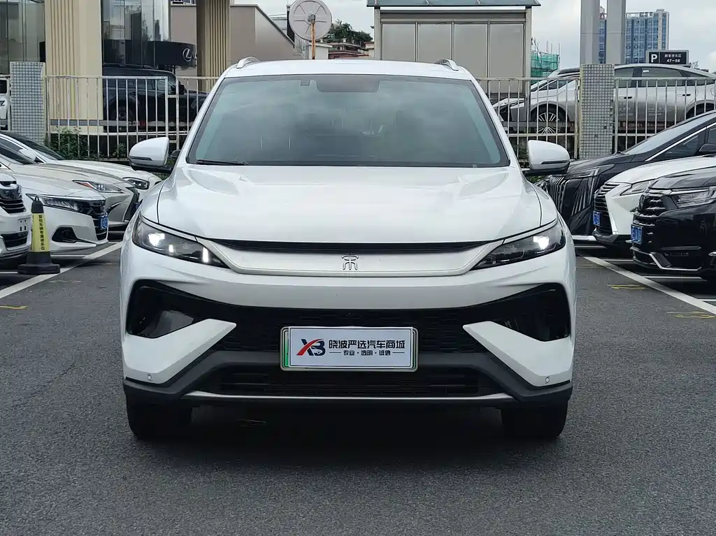 BYD Pro New Energy 2025 — фото 2