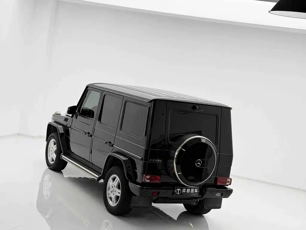 Mercedes-Benz G-Class 2018 — фото 15