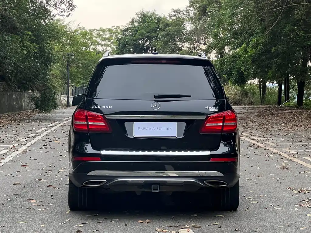 Mercedes-Benz GLS 2017 — фото 5