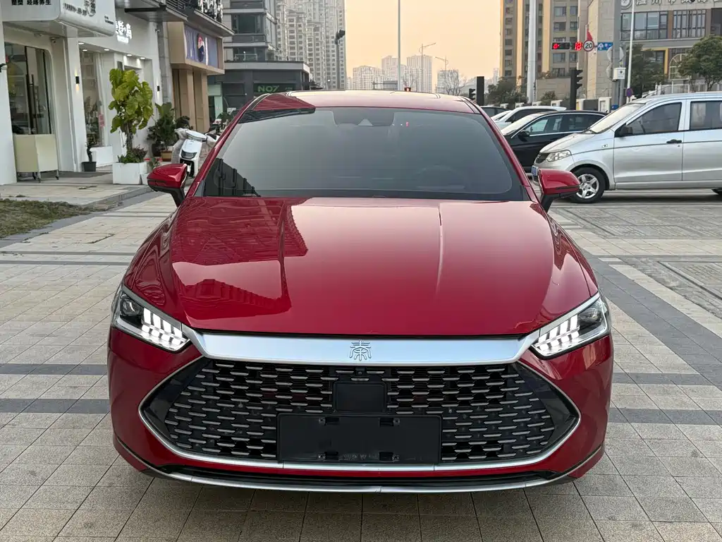 BYD Qin PLUS 2023 — фото 2