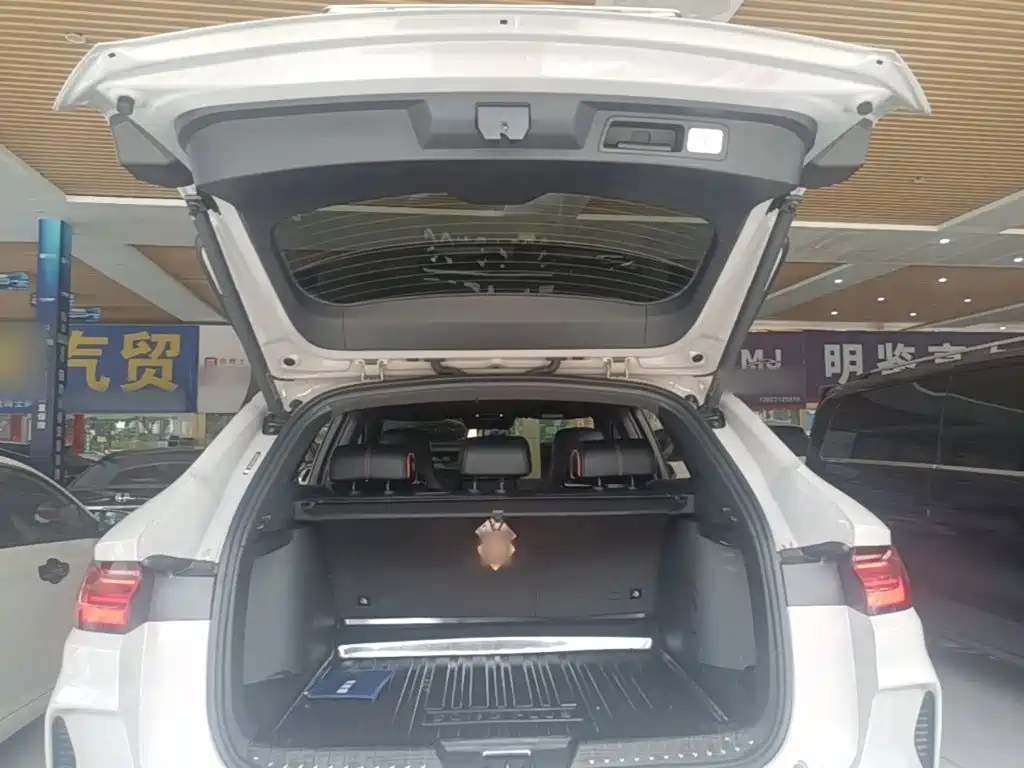 BYD PLUS New Energy 2023 — фото 19