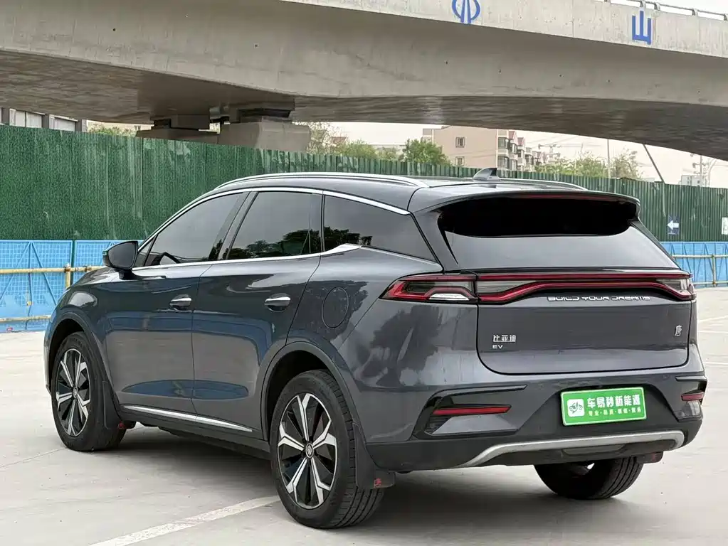 BYD Tang New Energy 2021 — фото 5