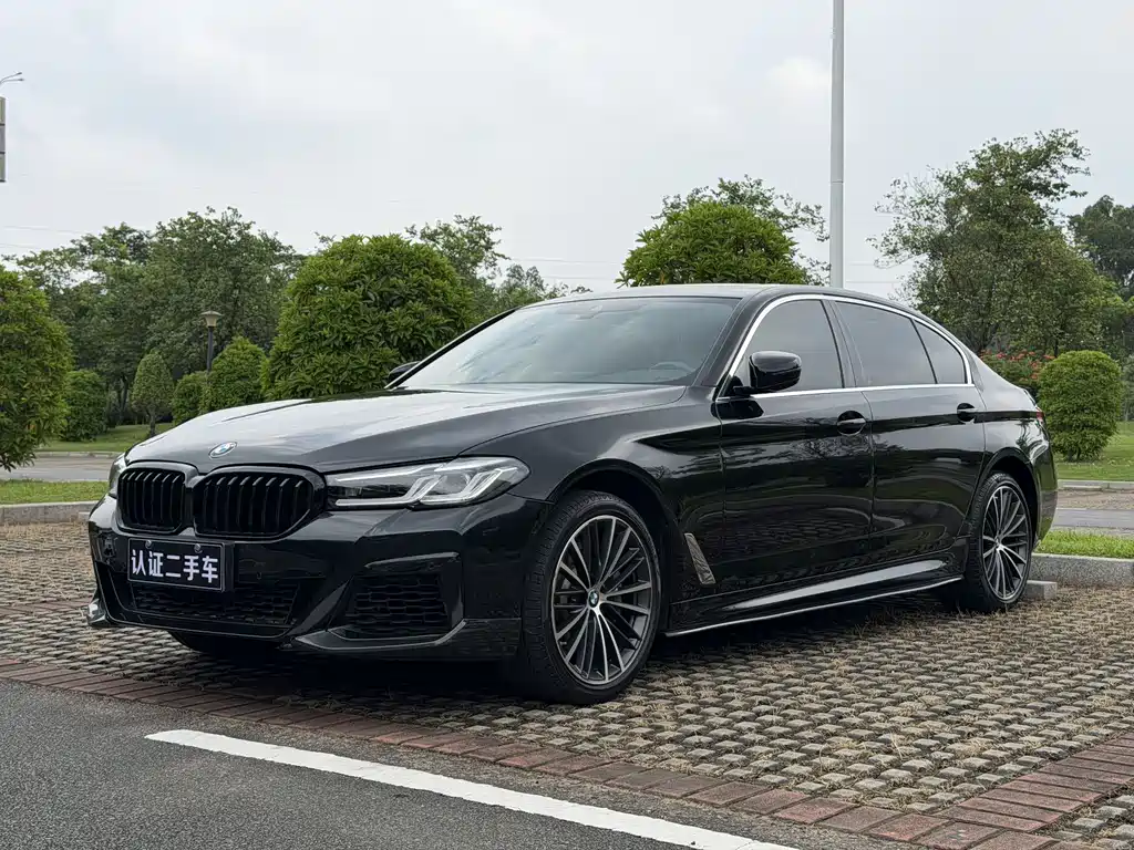 BMW 5 Series 2022