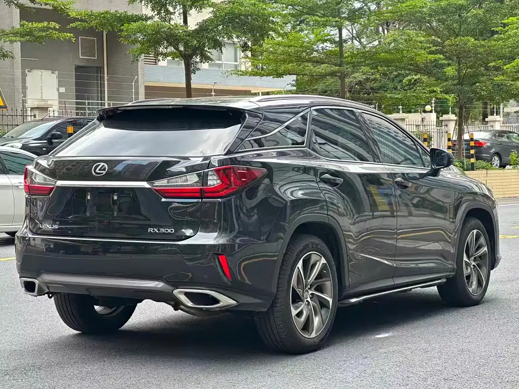 Lexus RX 2019 — фото 12