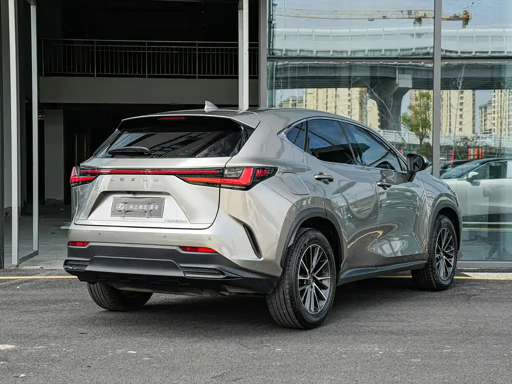 Lexus NX New Energy 2023 — фото 4