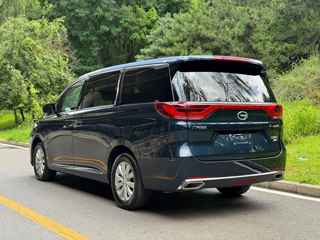 GAC Trumpchi M8 2018 — фото 19