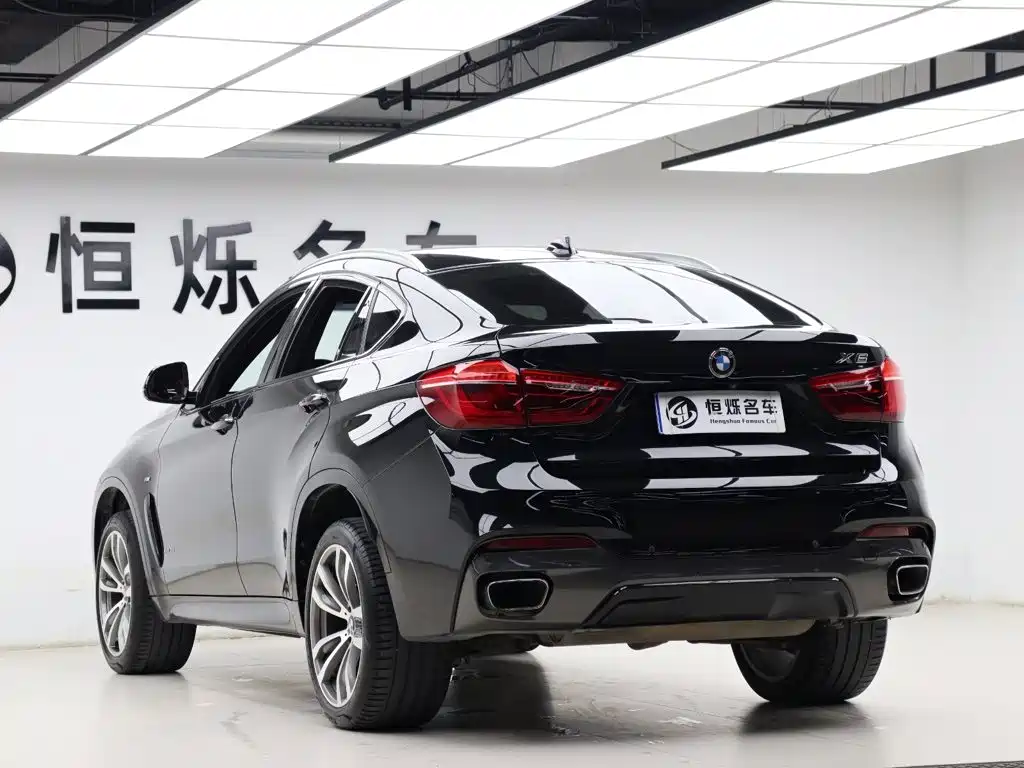 BMW X6 2017 — фото 26