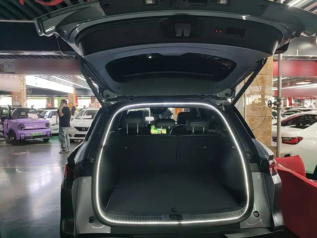 BYD Pro New Energy 2025 — фото 19