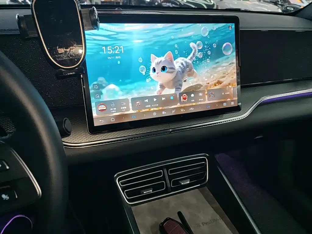 BYD Pro New Energy 2025 — фото 13