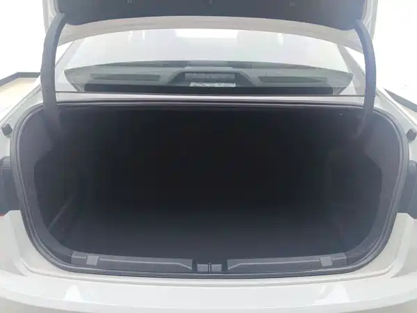 Volkswagen Bora 2021