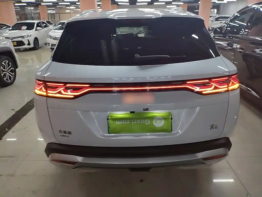 BYD L DM-i 2024 — фото 6
