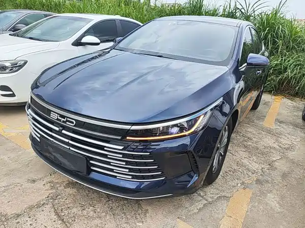 BYD Destroyer 05 2024