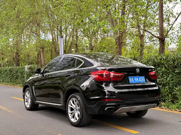 BMW X6 2018
