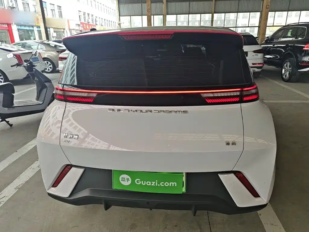 BYD Seagull 2024