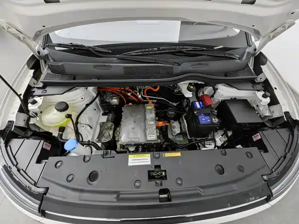 Dongfeng Nano 01 2024