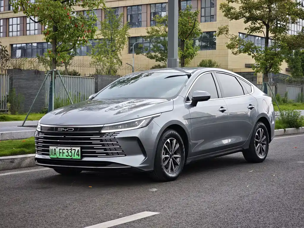 BYD Destroyer 05 2023 — фото 1