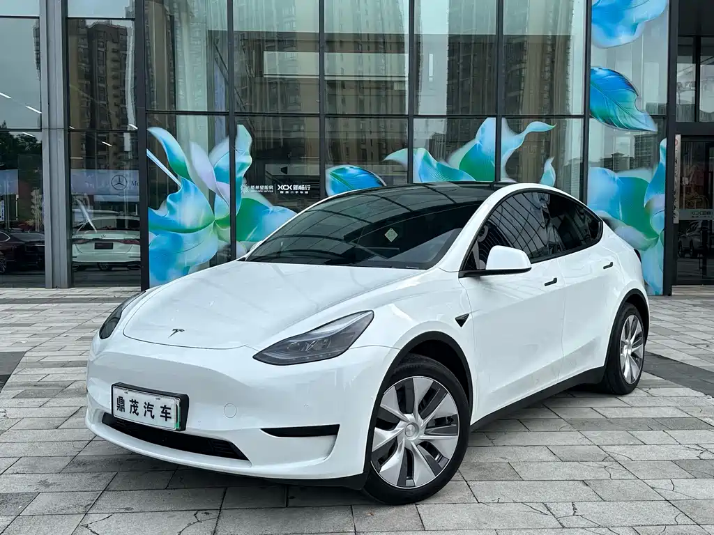 Tesla Model Y 2023 — фото 1