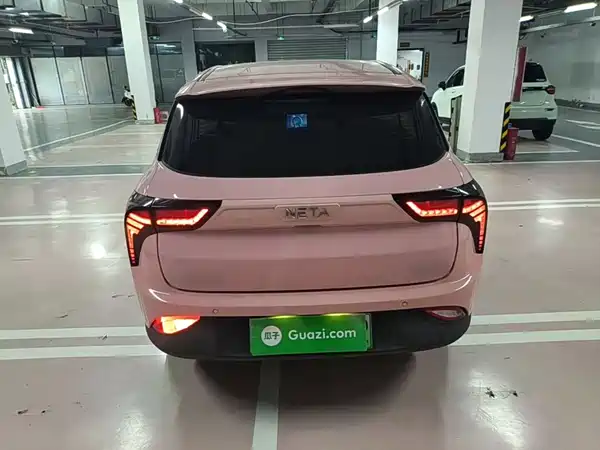 Neta V 2021